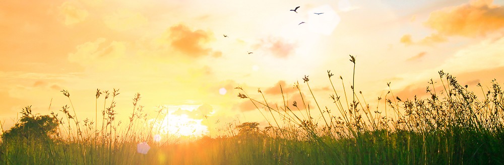 Sonnenaufgang; Foto: Jacob_09 - Shutterstock.com