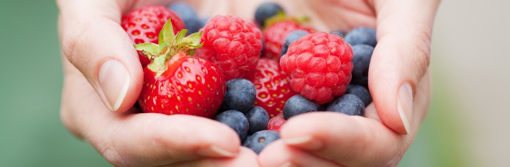 Hände mit Beeren; Foto: © dusk - stock.adobe.com