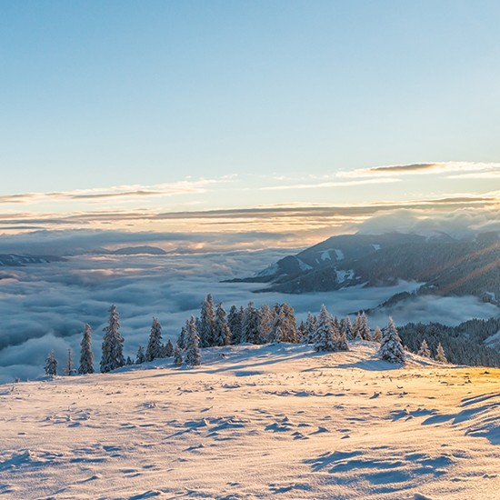 Foto: Manuel Capellari - Shutterstock.com