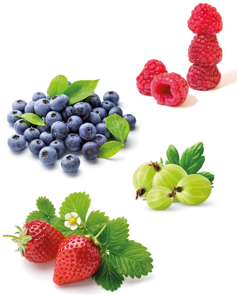Foto: Beeren; Matin, Artem Kutsenko, Anton Deyna - Shutterstock.com