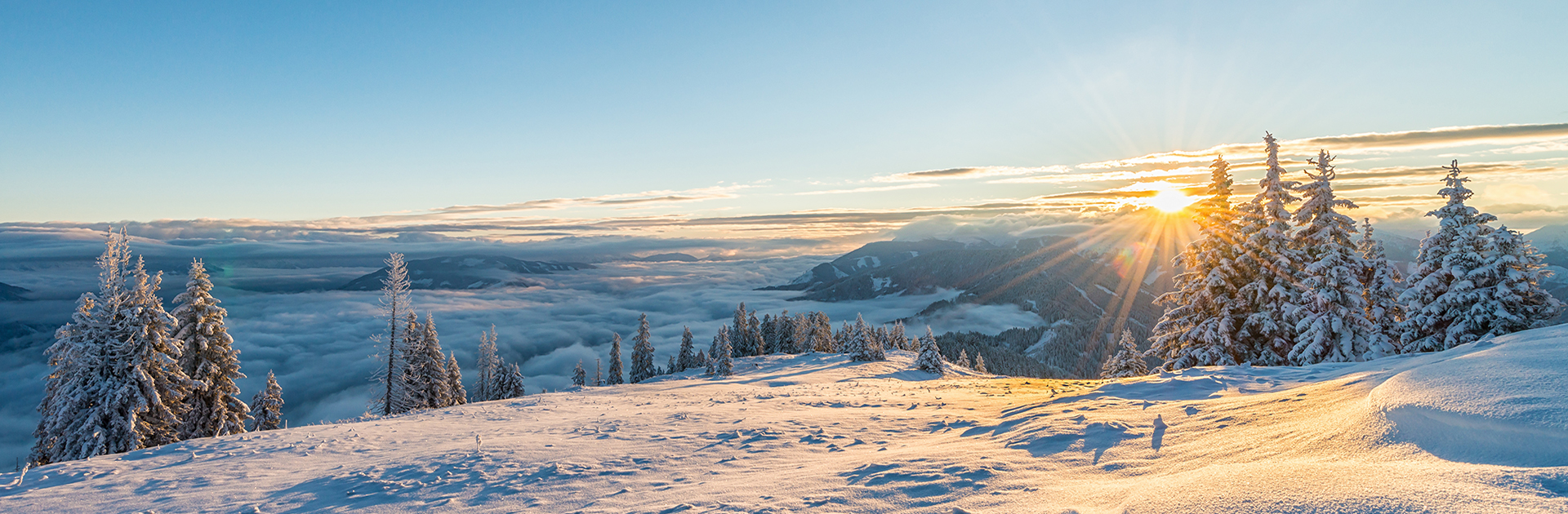 Foto: Manuel Capellari - Shutterstock.com