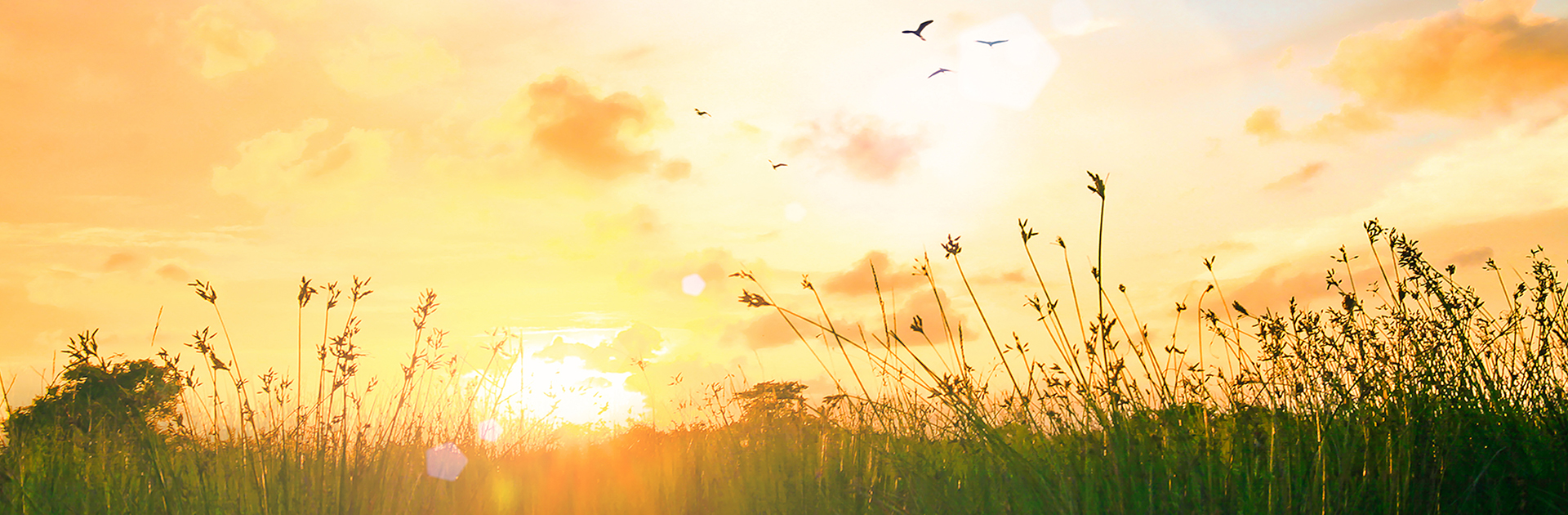 Sonnenaufgang; Foto: Jacob_09 - Shutterstock.com