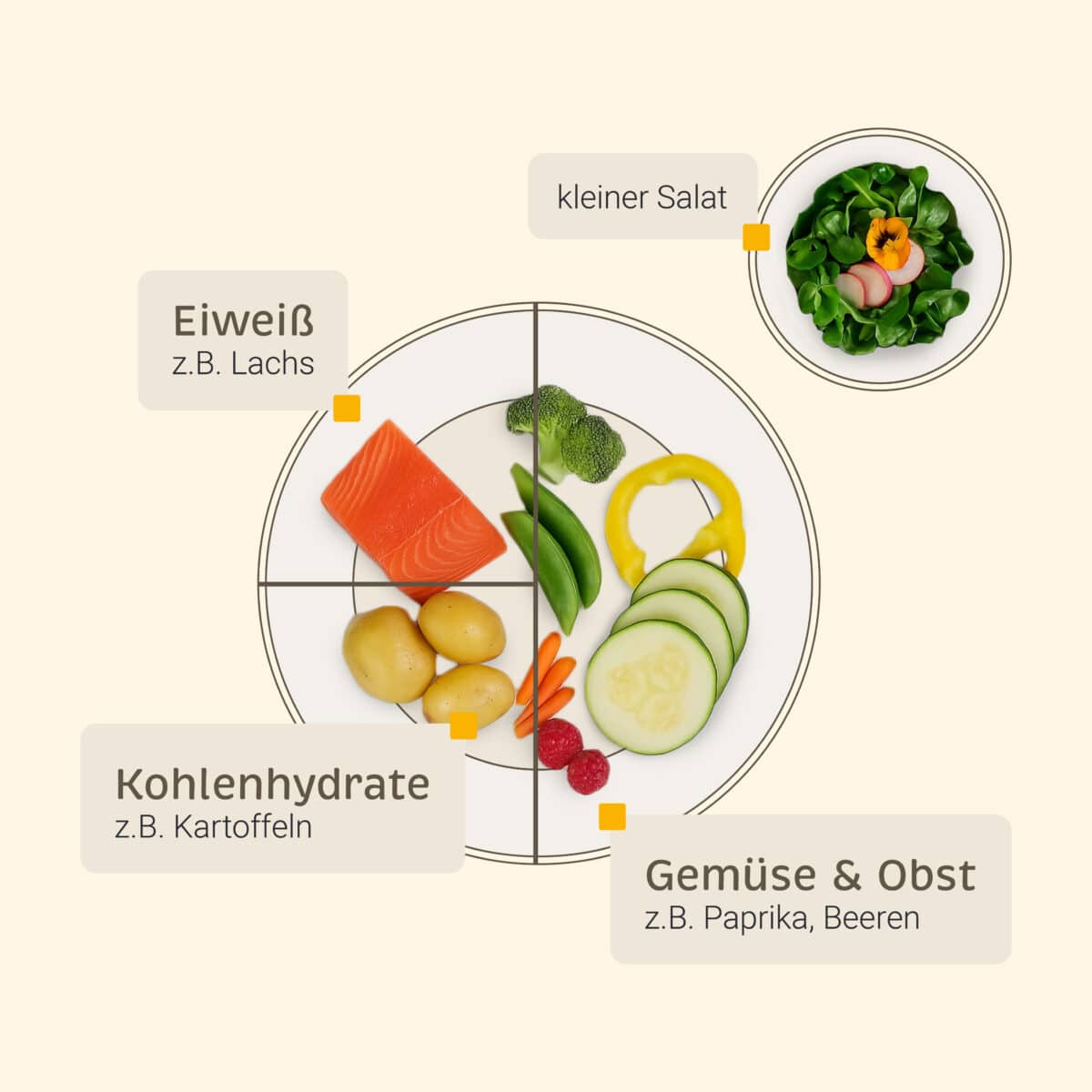Illustrativer Teller auf dem Lachs, Kartoffeln, Gurken, Brokkoli angerichtet sind, daneben eine illustrierte Schüssel mit grünem Salat abgebildet. Neben den jeweiligen Lebensmitteln sind Infoboxen angebracht, die beschreiben, welche Nährstoffe für eine gesunde Ernährung wichtig sind: Eiweiß, Kohlenhydrate, Gemüse & Obst.